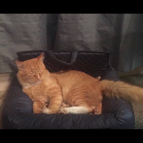 Pet Bed Plush Sofa-Style Couch - Picture 4 of 4